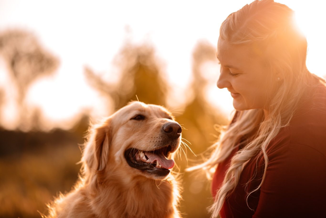Frau mit langem, blondem Haar lächelt ihren Golden Retriever in der Abendsonne an.
